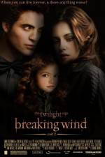 Watch Breaking Wind Wootly