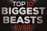 Watch Top 10 Biggest Beasts Ever Wootly