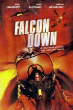 Watch Falcon Down Wootly