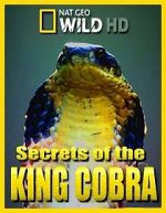 Watch Secrets of the King Cobra Wootly