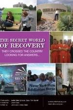 Watch The Secret World of Recovery Wootly