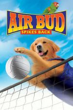 Watch Air Bud: Spikes Back Wootly