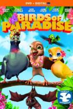 Watch Birds of Paradise Wootly