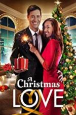 Watch A Christmas Love Wootly