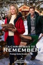 Watch A Christmas to Remember Wootly