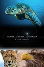 Watch Turtle, Eagle, Cheetah: A Slow Odyssey Wootly