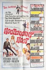 Watch Hootenanny Hoot Wootly