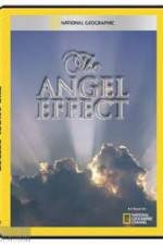 Watch National Geographic Explorer - The Angel Effect Wootly