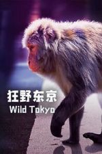 Watch Wild Tokyo (TV Special 2020) Wootly