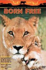 Watch Born Free Wootly