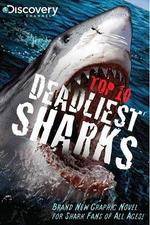 Watch National Geographic Worlds Deadliest Sharks Wootly