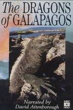 Watch The Dragons of Galapagos Wootly