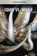 Watch National Geographic Wild - Squid Vs Whale Wootly