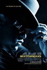 Watch Notorious (2009) Wootly