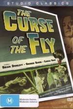 Watch Curse of the Fly Wootly