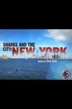 Watch Sharks and the City: New York Wootly