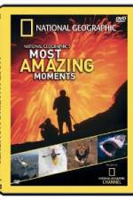 Watch National Geographic's Most Amazing Moments Wootly