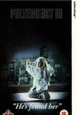 Watch Poltergeist III Wootly