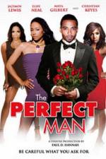 Watch The Perfect Man Wootly