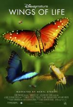 Watch Disneynature: Wings of Life Wootly