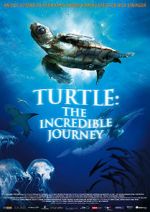 Watch Turtle: The Incredible Journey Wootly