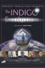 Watch The Indigo Evolution Wootly