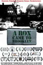 Watch A Box Came to Brooklyn Wootly