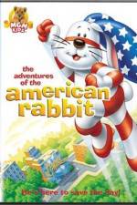 Watch The Adventures of the American Rabbit Wootly