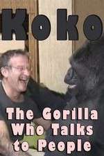 Watch Koko: The Gorilla Who Talks to People Wootly