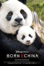 Watch Born in China Wootly