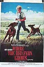 Watch Where the Red Fern Grows Wootly