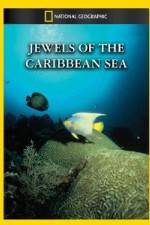 Watch National Geographic Jewels of the Caribbean Sea Wootly