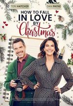 Watch How to Fall in Love by Christmas Wootly