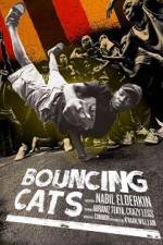 Watch Bouncing Cats Wootly