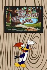 Watch The Redwood Sap (Short 1951) Wootly