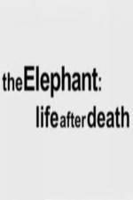 Watch The Elephant - Life After Death Wootly