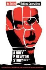 Watch A Huey P. Newton Story Wootly