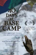 Watch 40 Days at Base Camp Wootly