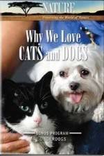 Watch Why We Love Cats And Dogs Wootly