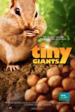 Watch Tiny Giants 3D Wootly