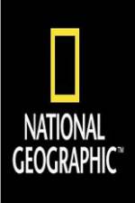 Watch National Geographic Wild War Elephants Wootly