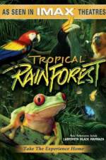 Watch Tropical Rainforest Wootly