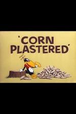 Watch Corn Plastered (Short 1951) Wootly