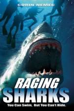 Watch Raging Sharks Wootly