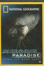 Watch National Geographic - Surviving Paradise - Hawaiian Monk Seals Wootly