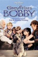 Watch Greyfriars Bobby The True Story of a Dog Wootly