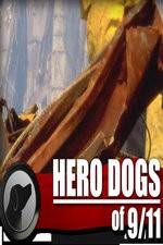 Watch Hero Dogs of 911 Documentary Special Wootly