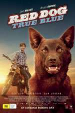 Watch Red Dog True Blue Wootly