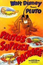 Watch Pluto\'s Surprise Package Wootly