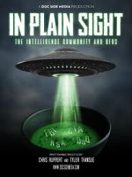 Watch In Plain Sight: The Intelligence Community and UFOs Wootly